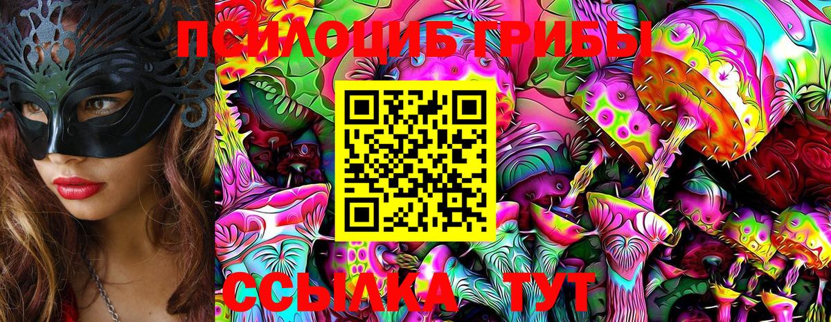 Менделеевск  Галлюциногенные грибы ЛСД  Вход с VPN 