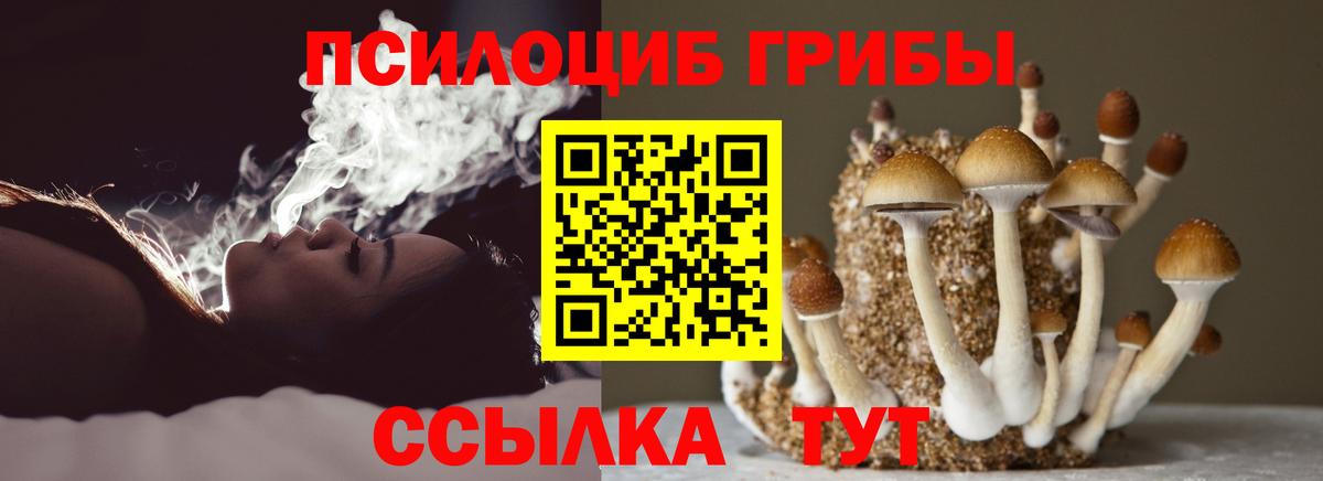 Псилоцибиновые грибы ЛСД Менделеевск